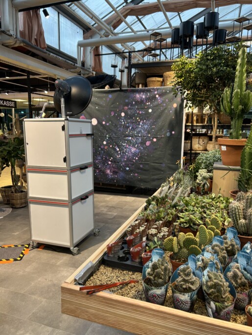 Schleys Blumenparadies